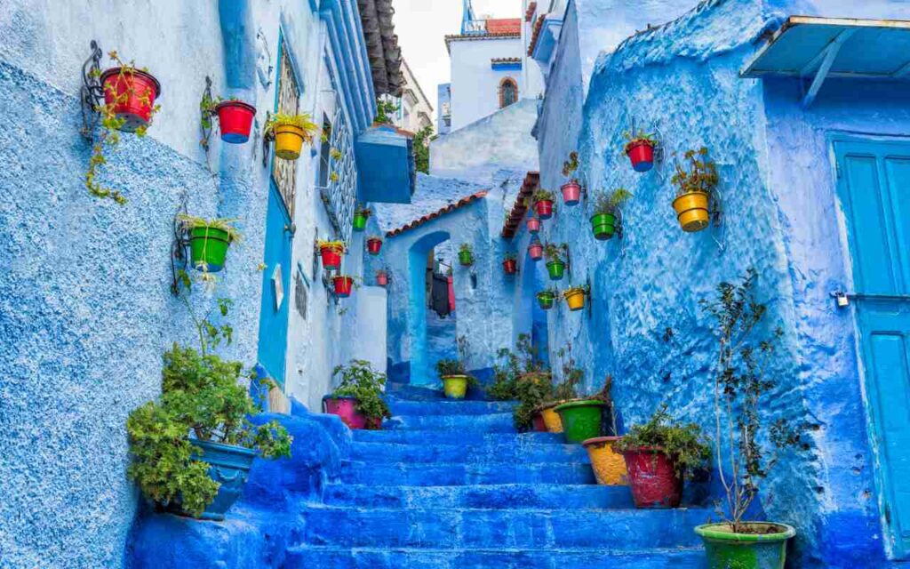A blue staircase and brightly coloured flower pots in Chefchaouen.
